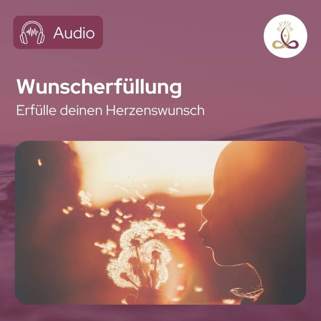 Dm-Harmonics-So erfuellst du dir deine Wuensche und Traume-Audio Wunscherfuellung