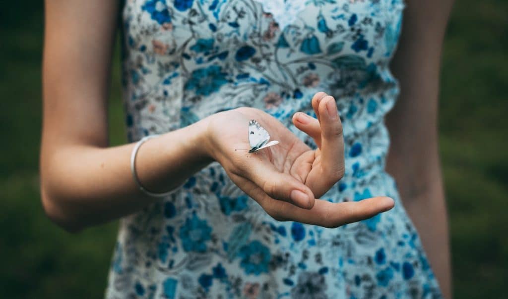 dm-harmonics-geld-manifestieren-frau-hand-schmetterling