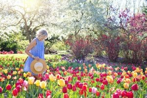 dm-harmonics-fruehlingsgefuehle-wecken-frau-blumenmeer